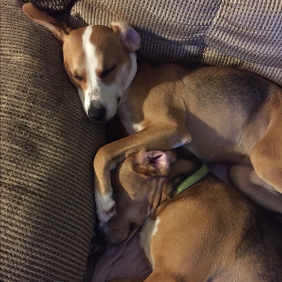 Meet your Posher, KL - Picture 4 of 4